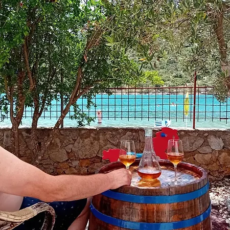 Bulovic Bozo 2 * Podglavica